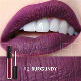 Waterproof Matte Liquid Lip Moisturizer