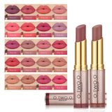 Matte Beauty Lipstick
